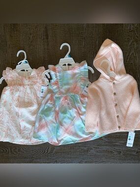 NWT Carter’s Baby Girl Dresses & Sweater Bundle